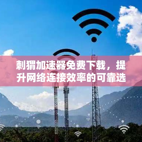 刺猬加速器免费下载，提升网络连接效率的可靠选择