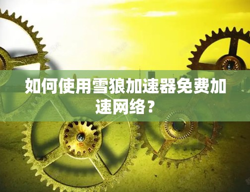 如何使用雪狼加速器免费加速网络？