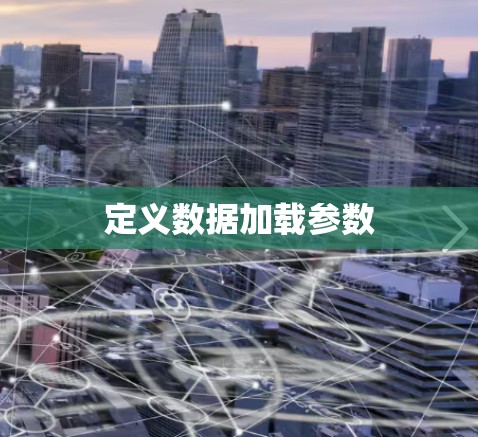 定义数据加载参数