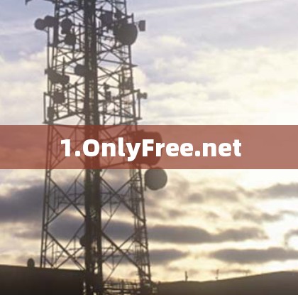 1.OnlyFree.net