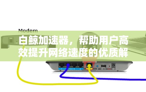 白鲸加速器，帮助用户高效提升网络速度的优质解决方案