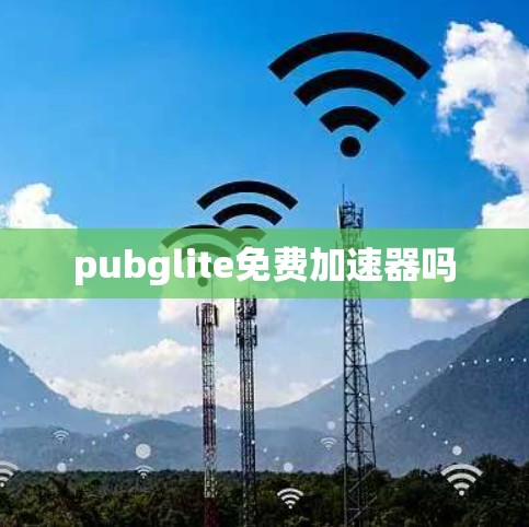 pubglite免费加速器吗