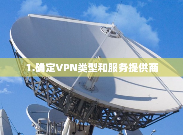 1.确定VPN类型和服务提供商 1.确定VPN类型和服务提供商