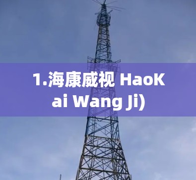 1.海康威视 HaoKai Wang Ji) 1.海康威视 HaoKai Wang Ji)