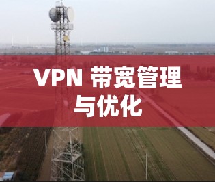 VPN 带宽管理与优化 VPN 带宽管理与优化