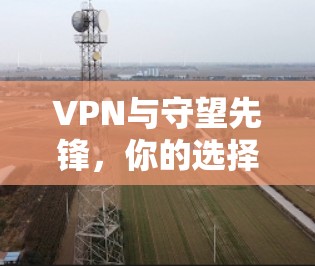 VPN与守望先锋,你的选择? VPN与守望先锋,你的选择?