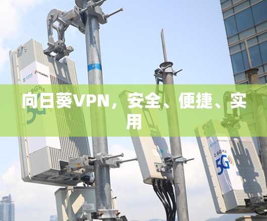 向日葵VPN,安全、便捷、实用 向日葵VPN,安全、便捷、实用