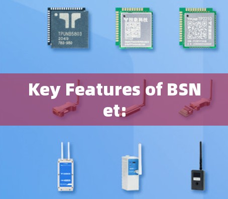 Key Features of BSNet:
