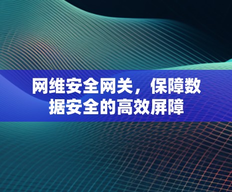 网维安全网关，保障数据安全的高效屏障