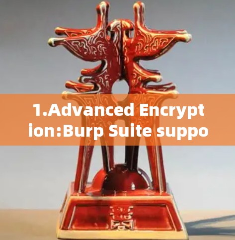 1.Advanced Encryption:Burp Suite supports encryption methods like AES and RSA,enhancing security.
