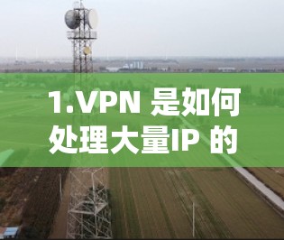 1.VPN 是如何处理大量IP 的？