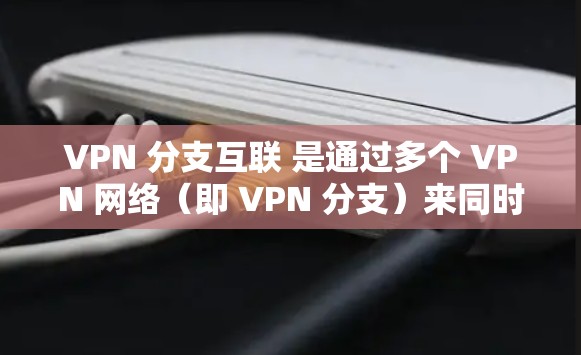 VPN 分支互联 是通过多个 VPN 网络（即 VPN 分支）来同时连接多个 IP 地址，从而实现更广泛的网络覆盖和更高的安全性。以下是分支互联的详细步骤和内容