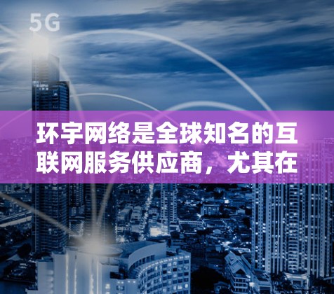 环宇网络是全球知名的互联网服务供应商，尤其在提供端到端（E2E）VPN服务方面表现突出。环宇网络的E2E VPN服务支持多语言、多平台，并提供多种套餐选择，帮助用户实现数据安全、隐私保护和高效传输