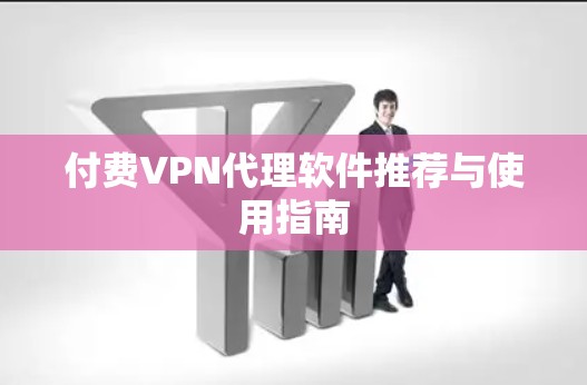 付费VPN代理软件推荐与使用指南