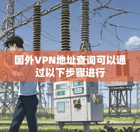 国外VPN地址查询可以通过以下步骤进行