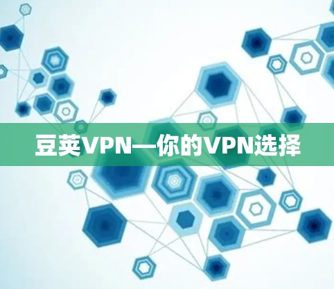 豆荚VPN—你的VPN选择