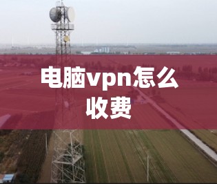 电脑vpn怎么收费