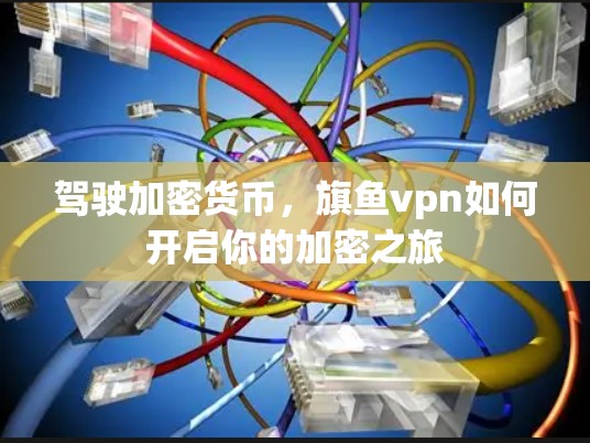 驾驶加密货币，旗鱼vpn如何开启你的加密之旅