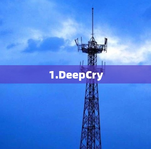 1.DeepCry