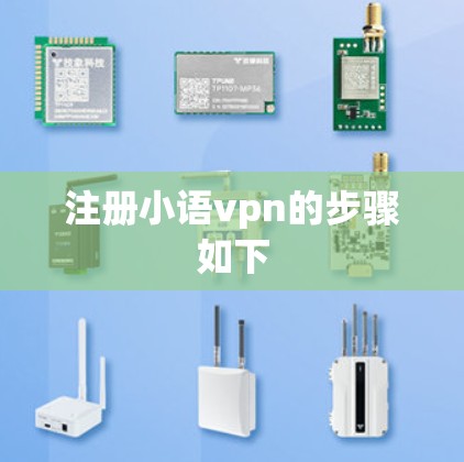 注册小语vpn的步骤如下
