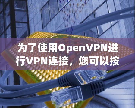 为了使用OpenVPN进行VPN连接，您可以按照以下步骤进行