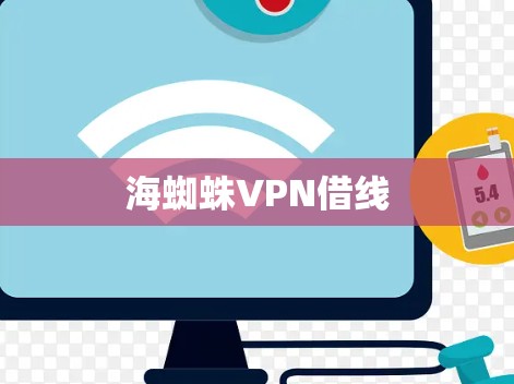 海蜘蛛VPN借线
