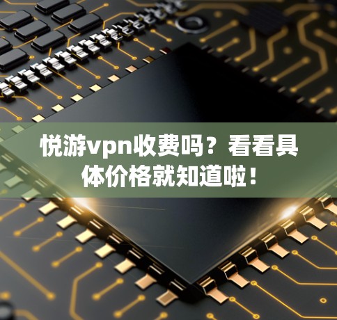悦游vpn收费吗？看看具体价格就知道啦！