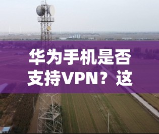 华为手机是否支持VPN？这个问题值得深思