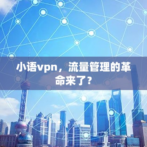 小语vpn，流量管理的革命来了？