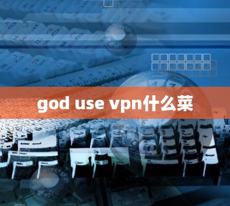 god use vpn什么菜