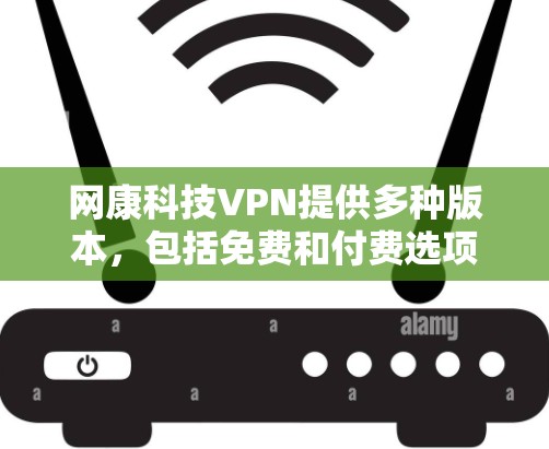 网康科技VPN提供多种版本，包括免费和付费选项。以下是使用步骤