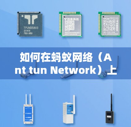 如何在蚂蚁网络（Ant tun Network）上使用VPN？