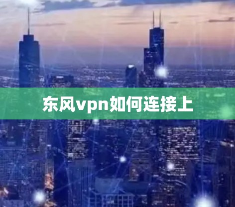 东风vpn如何连接上