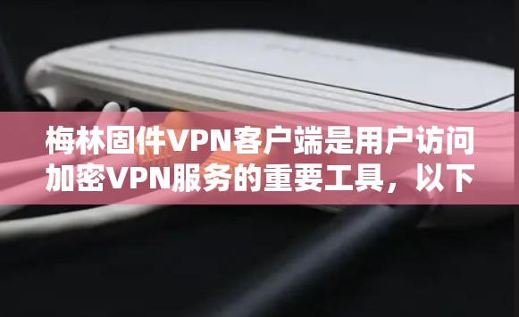 梅林固件VPN客户端是用户访问加密VPN服务的重要工具，以下是详细的使用步骤和说明