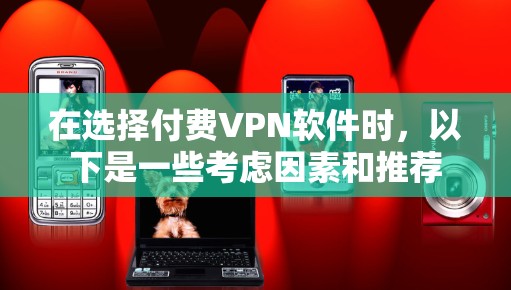 在选择付费VPN软件时，以下是一些考虑因素和推荐