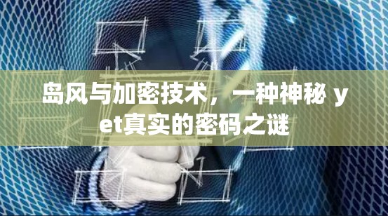 岛风与加密技术，一种神秘 yet真实的密码之谜