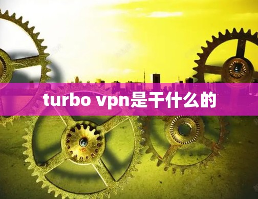 turbo vpn是干什么的