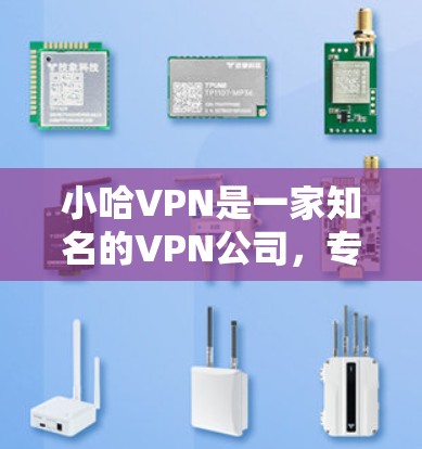 小哈VPN是一家知名的VPN公司，专注于提供高质量的网络、数据和视频解决方案。以下是关于小哈VPN的详细介绍