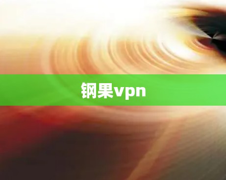 钢果vpn