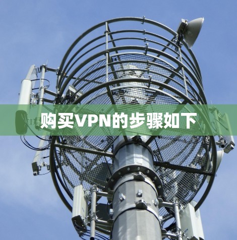 购买VPN的步骤如下