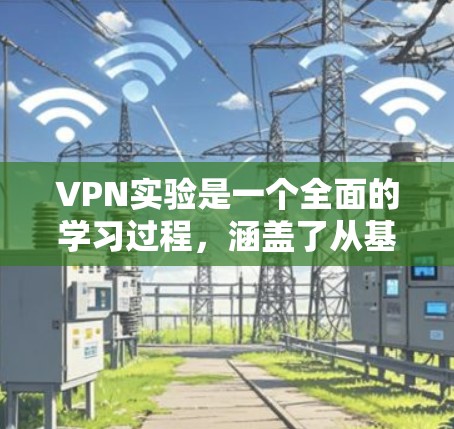 VPN实验是一个全面的学习过程，涵盖了从基础概念到实际应用的各个方面。以下是对 VPN 实验的详细总结和建议