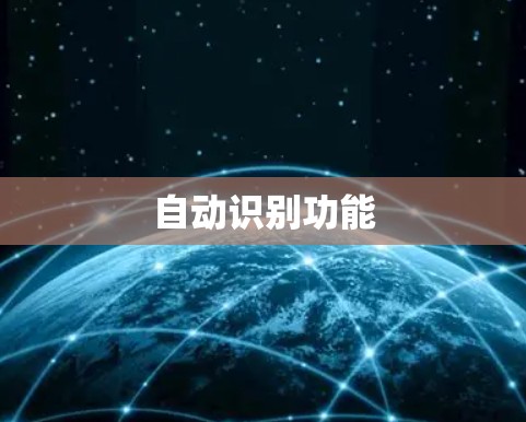 自动识别功能