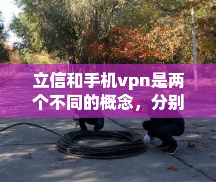 立信和手机vpn是两个不同的概念，分别代表不同的领域和用途