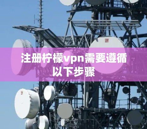 注册柠檬vpn需要遵循以下步骤