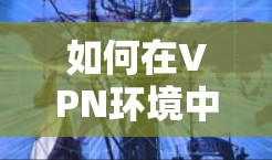 如何在VPN环境中更换IP地址