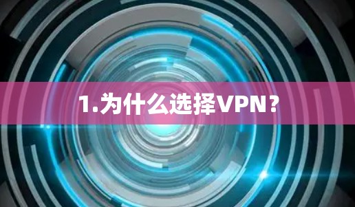 1.为什么选择VPN? 1.为什么选择VPN?