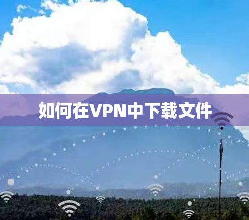 如何在VPN中下载文件
