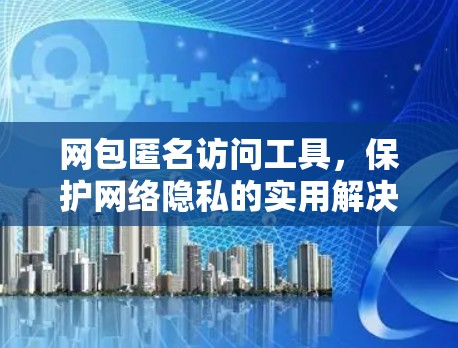 网包匿名访问工具，保护网络隐私的实用解决方案