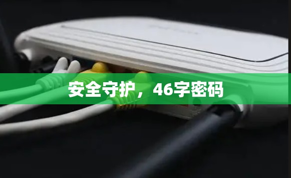安全守护，46字密码