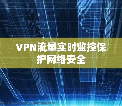 VPN流量实时监控保护网络安全